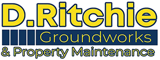 D Ritchie